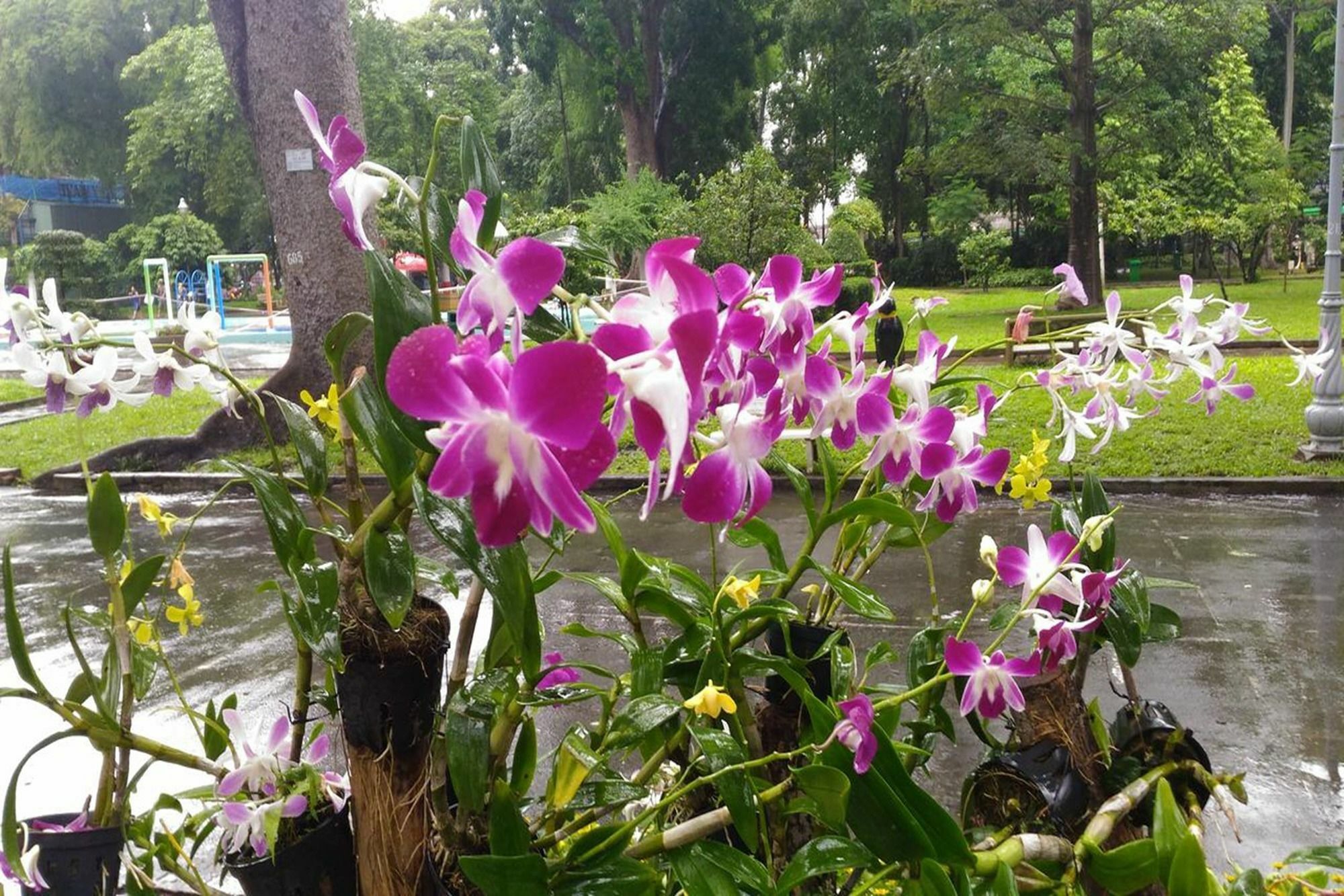 Riverside Serviced Apartments Bandar Ho Chi Minh Luaran gambar